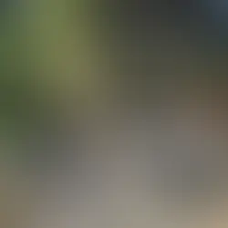 Veículo usado em sequestro de jovem em Niterói é encontrado incendiado em Caxias