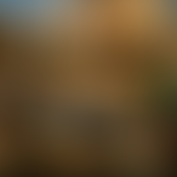 22 de abril: quem encontrou o Brasil?