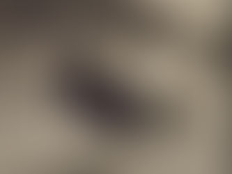 A desatadora dos nós da Ponte do Rodízio, por Erick Bernardes