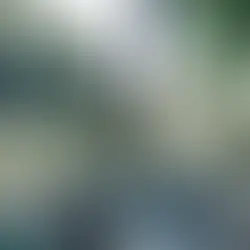 Idosa de 75 anos morre após ser atingida por bala perdida em tiroteio em Vigário Geral