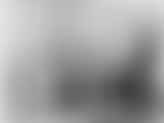 A árvore, os ativistas, a praça e o equinócio - por Oswaldo Mendes