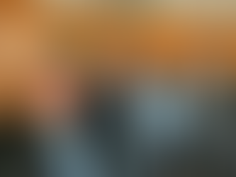 Rachadinha, calote, lavagem de dinheiro e golpe de Estado: a folha corrida dos Bolsonaro
