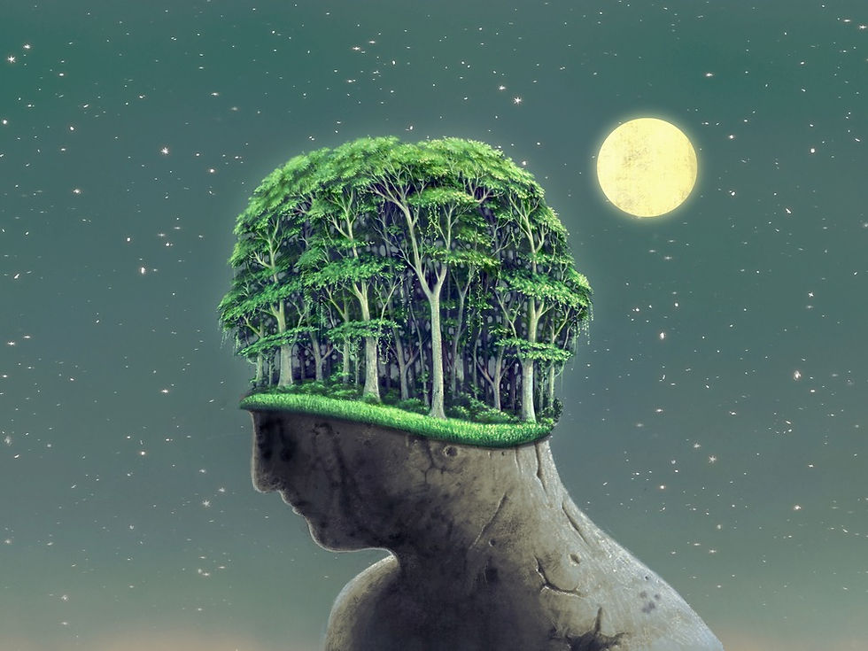 Foto: Reprodução Internet