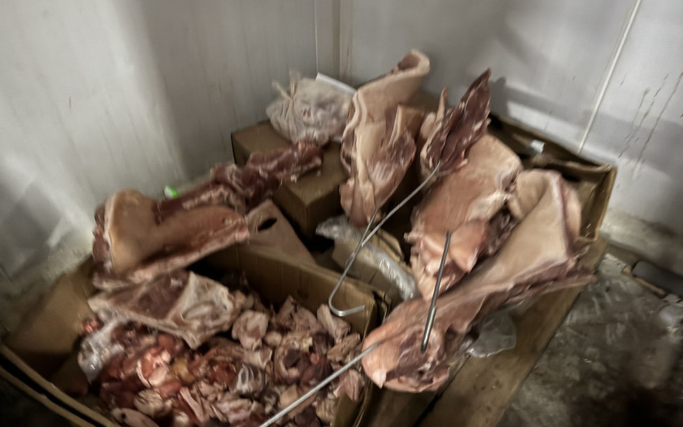 Quase uma tonelada de alimentos impróprios é apreendida em Caxias