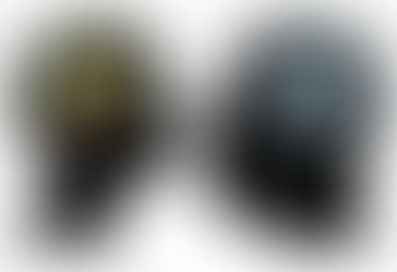 Decisões da vida: razão ou emoção? - por Rofa Araújo