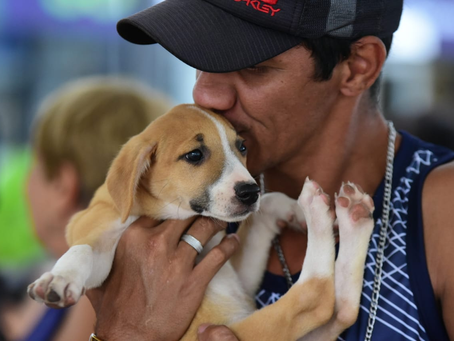 Protetores de animais de Maricá recebem primeiro pagamento do programa “Mumbucão”