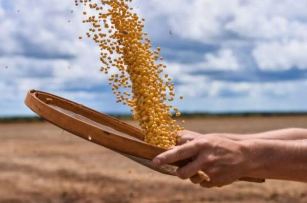 Governo avalia MP para evitar bomba fiscal com dívidas do agro