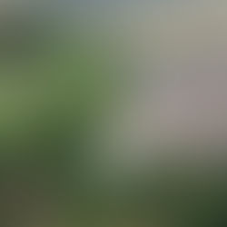 Governo do Rio encaminha ao STF plano de reocupação territorial