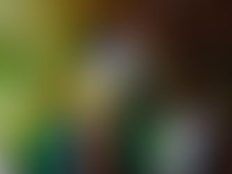 Varno e Nhyin: o Nômade e o Gnomo do Arco Íris, por Regina Alves