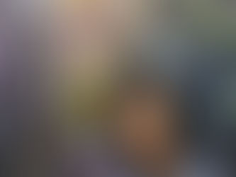 Jaqueline Nery: A força da Mulher e sua forma de “crear” e renascer, por Oswaldo Mendes