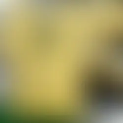 Polícia Civil prende chefe do tráfico do Comando Vermelho, 'Malandrex' na Zona Oeste