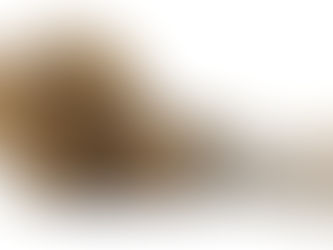 Pião e alguns giros por aí, por Erick Bernardes