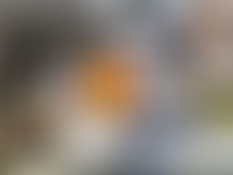 PM faz operações em SG e Niterói; Polícia descobre fraudes milionárias na Leão XIII e mais