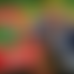 Vítima do tesouraço do Flávio Bolsonaro: Farmácia Popular
