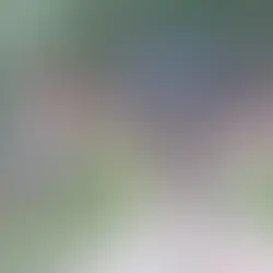 Vídeo mostra criminosos do Comando Vermelho tentando invadir área dominada pela milícia