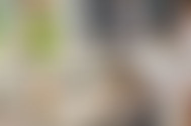 Vergonha de viver em dois Brasis, por Mário Lima Jr.