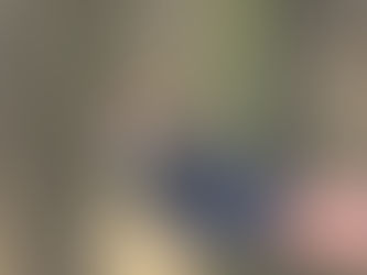 Granada é encontrada em casa de idosa em Campo Grande