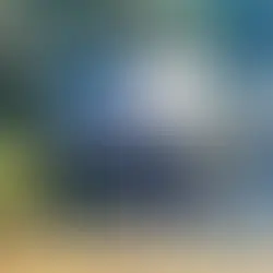 PF deflagra Operação Bicho Solto em Niterói