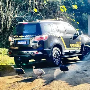 PF deflagra Operação Bicho Solto em Niterói