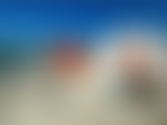 Homem com extenso B.O. morre afogado ao tentar fugir da blitz da Lei Seca na Barra; entenda