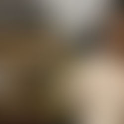 Homem é preso por espancar e matar capivara a chutes em Duque de Caxias