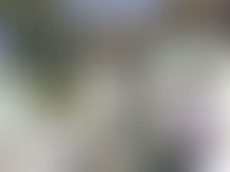 Esforço coletivo para eliminar o zika vírus em São Gonçalo