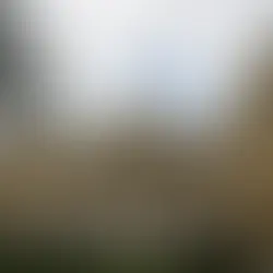 STF tem placar de 4 a 1 para eleições indiretas no Rio