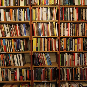 O medo e o prazer de ler um livro