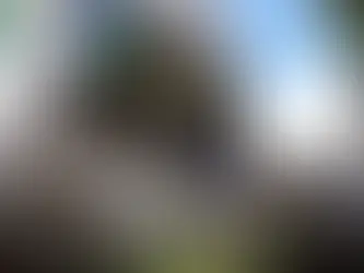  Polícia Civil realiza operação contra traficantes do CV envolvidos na morte de adolescente em Guaratiba