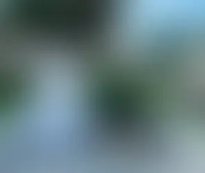  Tentativa de assalto termina com suspeito preso e vítima baleada em São Gonçalo