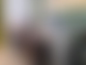 Concilia São Gonçalo 2022