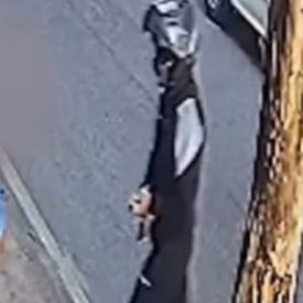 Homem tem aliança roubada enquanto varria calçada no Jardim Botânico