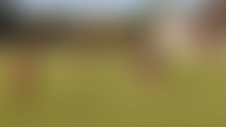 ASC1-IH Lambersart 2 (5-0)