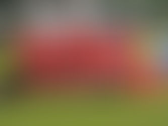 L’Équipe féminine démarre sa saison en fanfare