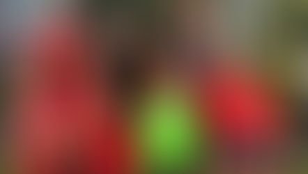 Tournoi de Wattignies : une belle aventure pour nos jeunes hockeyeurs amiénois