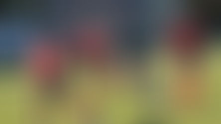 N1F: Amiens SC-Lille MHC (0-4)