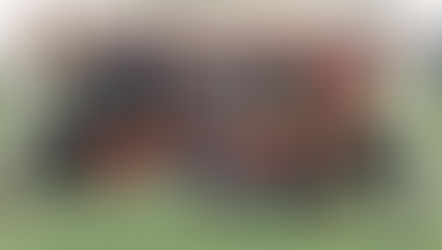 U12: RC Arras-ASC Filles(4-2)