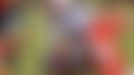 ASC2-SHC Calais1 (1-1)