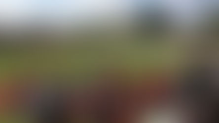 Un stage de vacances réussi