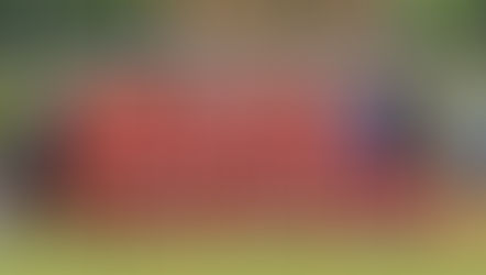 Elite: ASC-FC Lyon (5-0)