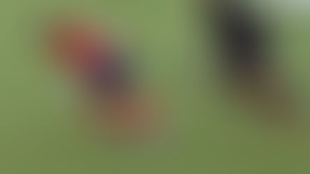 Elite: ASC-Stade Français (2-2)