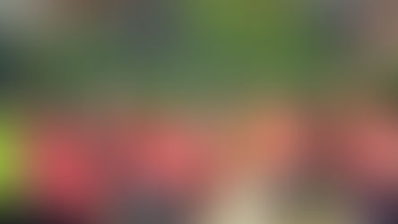 ASC1-HC Escaudoeuvres (2-0)