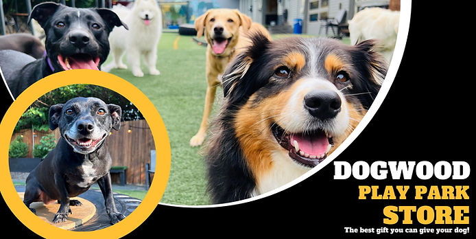 Copy of Dog Daystay (Medium Banner (US) (Landscape))(2).jpg