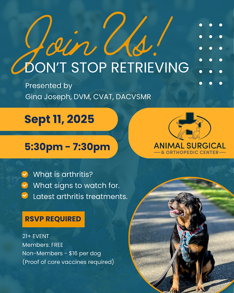 DON'T STOP RETRIEVING - Causes & Treatments Canine Arthritis