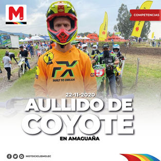 Aullido de Coyote en Amaguaña 