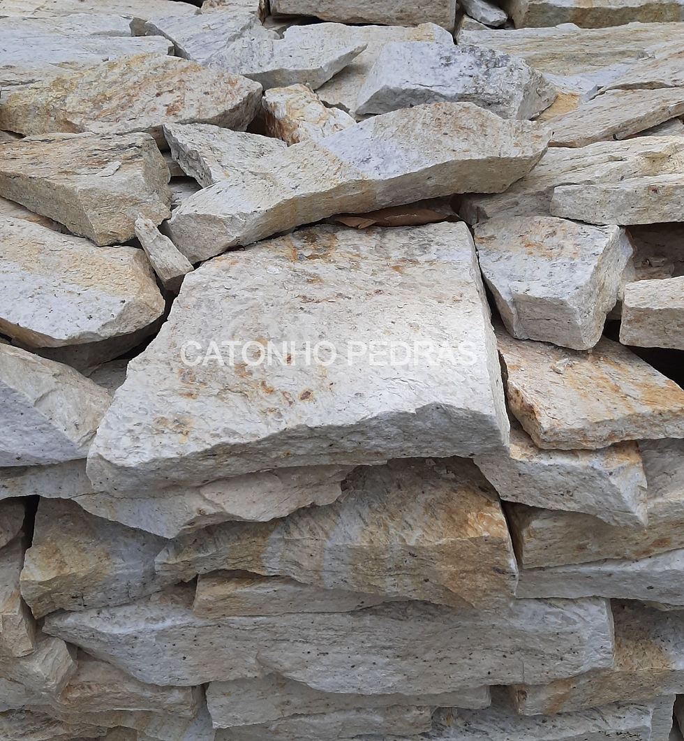 Miniatura: Caco amarelo are savana