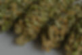 selective-focus-shot-cannabis-white-surface (FILEminimizer)_edited.jpg