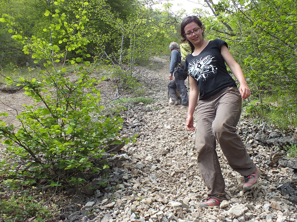 Retour sur le sentier