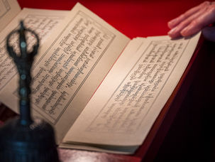 July Newsletter 2025