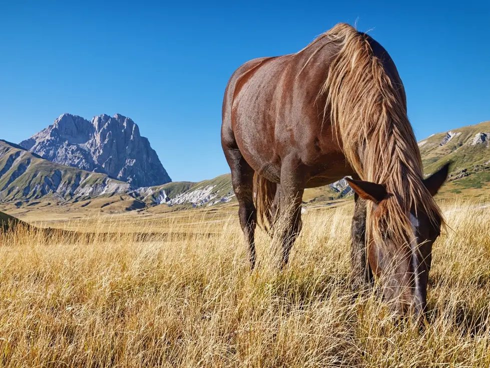 Copertina dell'itinerario turistico Tour del Gran Sasso in Abruzzo - EBook prodotto da Abruzzo Official Travel